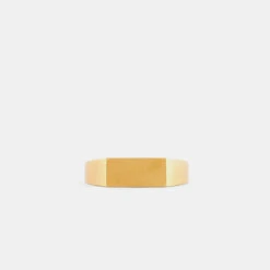 Gold Brushed Rectangle Ring 12 Gold Brushed Rectangle Ring -SERGE DENIMES Shop Gold Brushed Rectangle Ring Product Shot 2 Grey dc1c4f62 f565 4150 8b90 fe7fdb84cca7