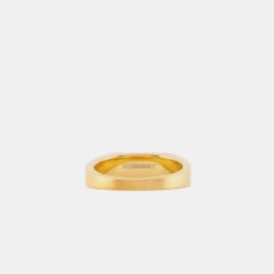 Gold Brushed Rectangle Ring 13 Gold Brushed Rectangle Ring -SERGE DENIMES Shop Gold Brushed Rectangle Ring Product Shot 3 Grey 68780d8f 0cdf 4644 af62 f1df4bb9184a