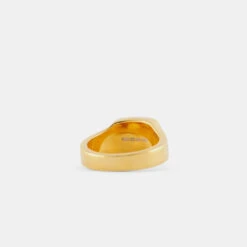 Gold Cushion Mother Of Pearl Ring 13 Gold Cushion Mother Of Pearl Ring -SERGE DENIMES Shop Gold Cushion Stone Ring Product Shot 3 Grey bf1c4b4b 99b4 4b06 9b86 1710cf363397