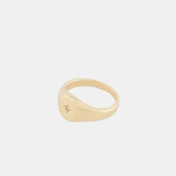 Gold Royal Envy Ring -SERGE DENIMES Shop Gold Envy Ring Product Shot Tilt 2 Grey