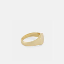 Gold Signet Ring -SERGE DENIMES Shop Gold Signet Ring Product Shot 4 Grey NEW