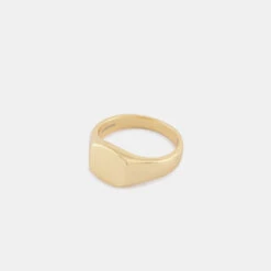 Gold Signet Ring -SERGE DENIMES Shop Gold Signet Ring Product Shot Tilt 2 Grey
