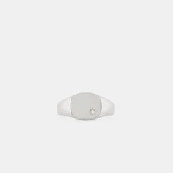 Silver Diamond Birthstone Ring