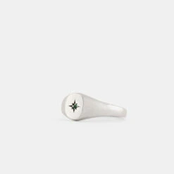 Silver Envy Signet Ring -SERGE DENIMES Shop Silver Envy Ring Product Shot 2 Grey be9957e0 6eac 496c bde3 d117309c737a