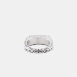 Silver Moonlight Ring 14 Silver Moonlight Ring -SERGE DENIMES Shop Silver Moonlight Ring Product Shot Tilt 3 Grey