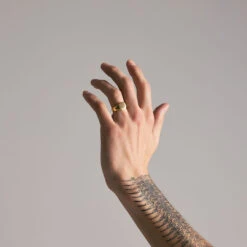 Gold Signet Ring -SERGE DENIMES Shop gold signet ring model shot